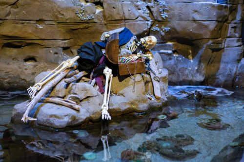 A skeleton rests on a rock near a treasure chest, surrounded by water and rocky textures, evoking a pirate theme.