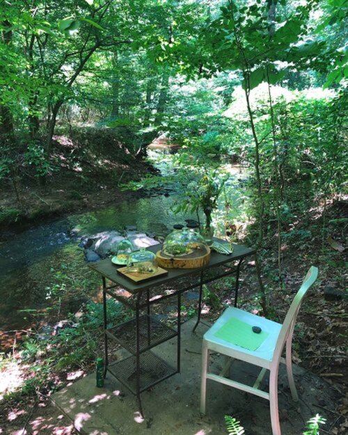 A serene outdoor scene featuring a table with glass jars beside a creek, surrounded by lush greenery.