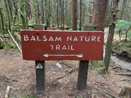 Wooden sign reading "Balsam Nature Trail" in a forested area, with trees and a small creek visible in the background.