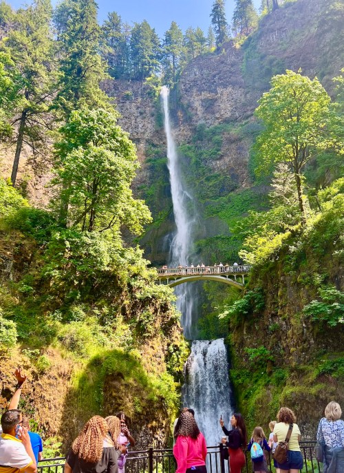 A tall waterfall cascades down a rocky cliff, surrounded by lush greenery, with visitors admiring the view below.