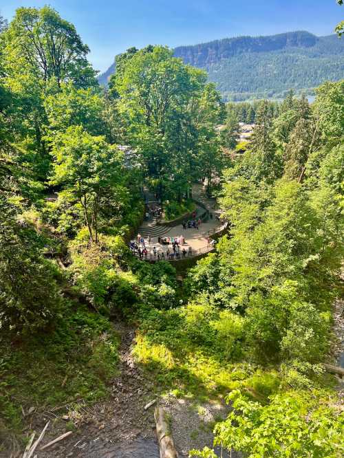 Aerial view of a lush green forest with a circular viewing platform and people gathered, surrounded by mountains.