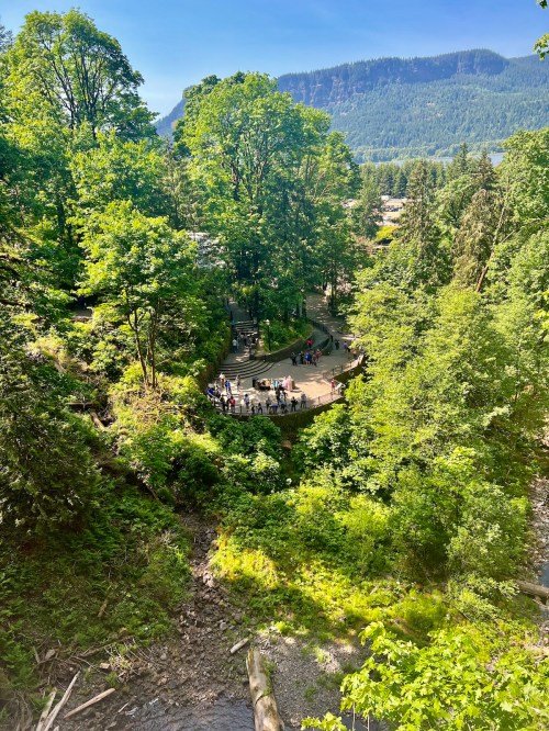 Aerial view of a lush green forest with a circular viewing platform and people gathered, surrounded by mountains.