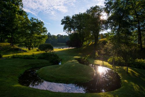 A serene landscape featuring lush greenery, a winding stream, and sunlight filtering through trees.