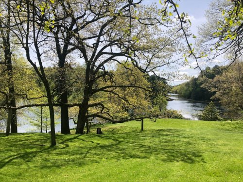 A serene landscape featuring a river, lush green grass, and trees under a clear blue sky.