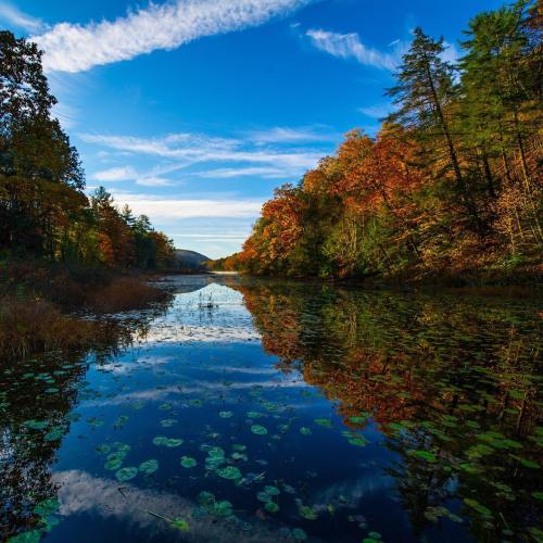 A serene river reflects colorful autumn trees under a bright blue sky with wispy clouds.