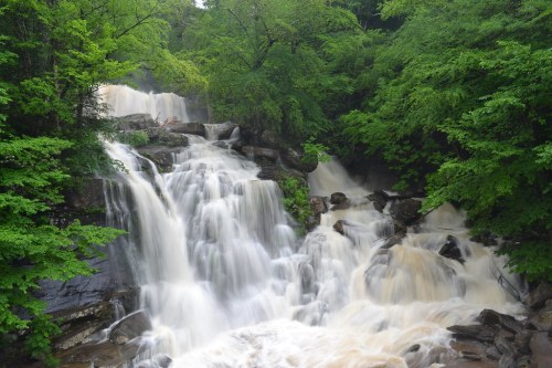 A cascading waterfall surrounded by lush green trees and rocky terrain, creating a serene natural scene.