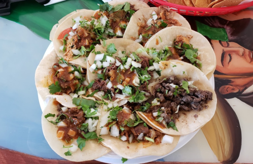 A plate of tacos filled with meat, topped with onions and cilantro, served on a colorful table.