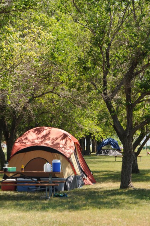 A campsite with two tents under green trees, featuring a picnic table and cooler in the foreground.