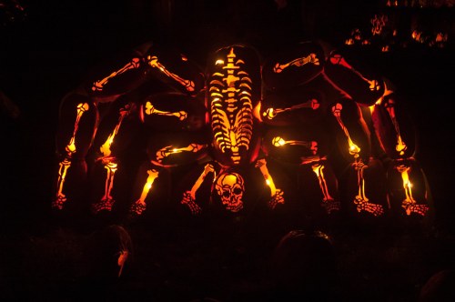 A large, illuminated pumpkin display featuring a skeleton and spider design, glowing with orange and yellow lights.