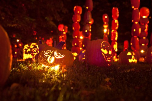 A spooky display of carved pumpkins glowing in the dark, surrounded by a festive autumn atmosphere.