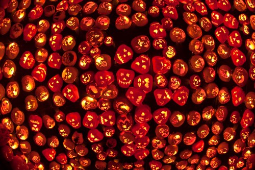 A vibrant display of carved pumpkins with glowing faces, creating a festive Halloween atmosphere.