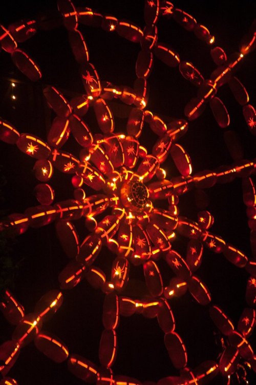 A vibrant spiral pattern of glowing red lights against a dark background, creating a mesmerizing visual effect.