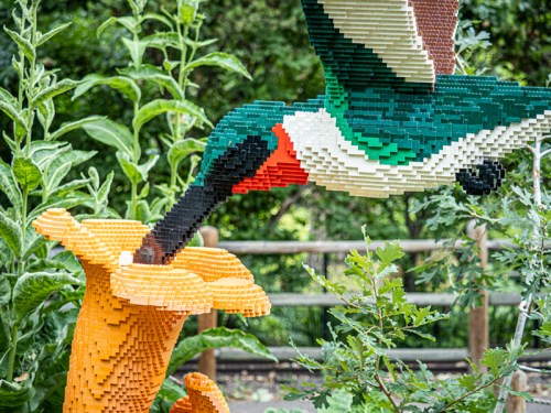 A colorful LEGO sculpture of a bird hovering over a vibrant flower in a garden setting.