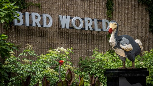 A colorful LEGO sculpture of a dodo bird in front of a "Bird World" sign, surrounded by lush greenery.
