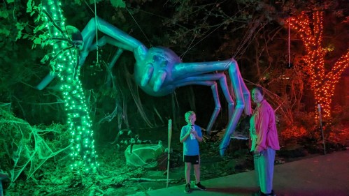A child and an adult stand near a large, glowing spider decoration surrounded by colorful lights in a dark, festive setting.