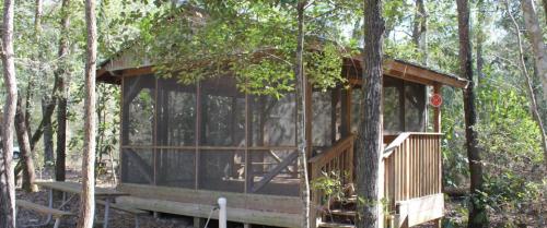 A wooden cabin with a screened porch, surrounded by trees in a wooded area.