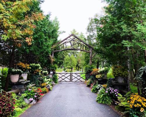 A picturesque garden entrance with a wooden arch, surrounded by vibrant flowers and lush greenery.