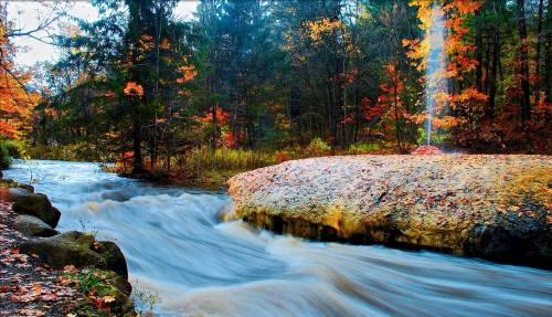 A vibrant autumn scene with a flowing river, colorful trees, and a rocky outcrop surrounded by fallen leaves.