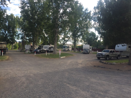 A gravel road in a campground with RVs and trees, creating a peaceful outdoor setting.