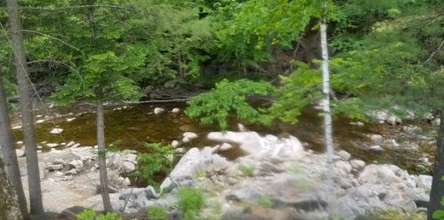 A serene river flows through a lush green forest, surrounded by rocks and trees.