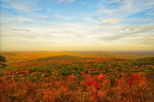 A panoramic view of a colorful autumn landscape with vibrant red and orange foliage under a blue sky.