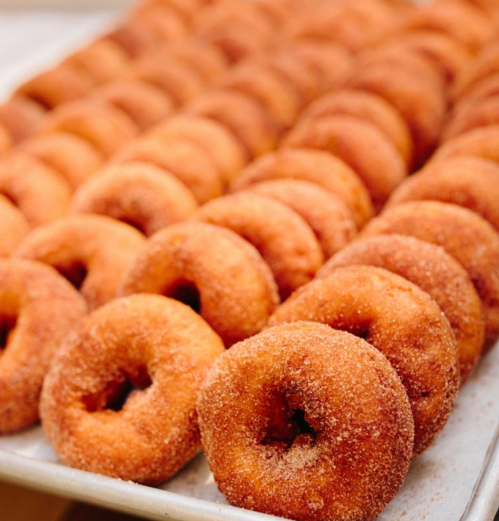 A tray of freshly baked, golden-brown donuts coated in cinnamon sugar, arranged in neat rows.