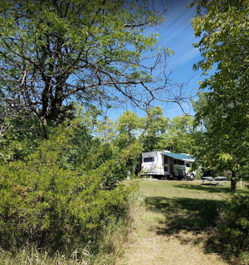 A recreational vehicle parked in a green, wooded area under a clear blue sky.
