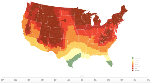 Map of the U.S. showing fall foliage progression from September to November, with color-coded peak times.