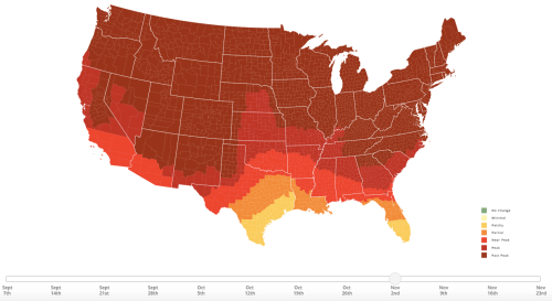 Map of the U.S. showing peak fall foliage dates, with color gradients indicating timing from early to peak.
