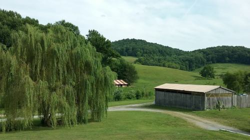 A serene landscape featuring a willow tree, a rustic barn, and rolling green hills under a clear sky.