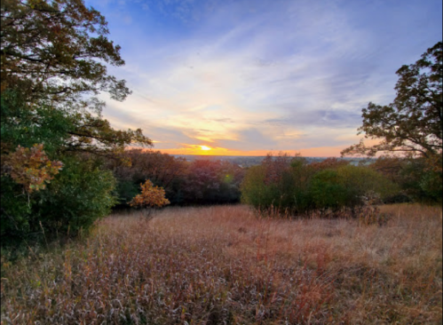 A serene landscape at sunset, featuring a grassy field and trees under a colorful sky.