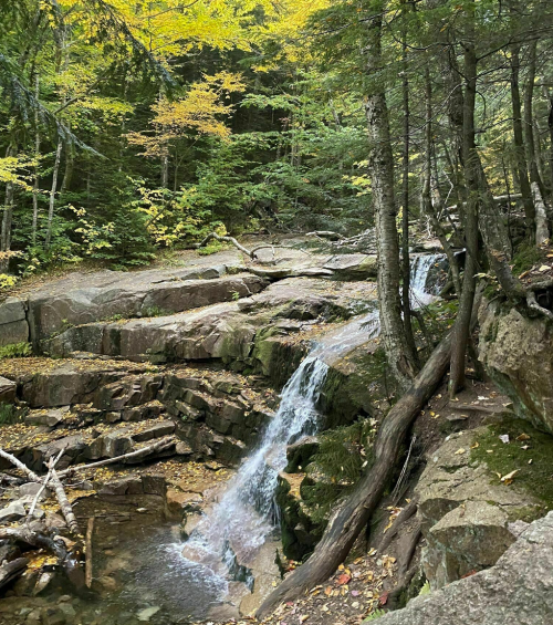 A serene forest scene featuring a small waterfall cascading over rocks, surrounded by autumn foliage and trees.