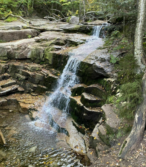 A serene waterfall cascading over moss-covered rocks in a lush forest setting.