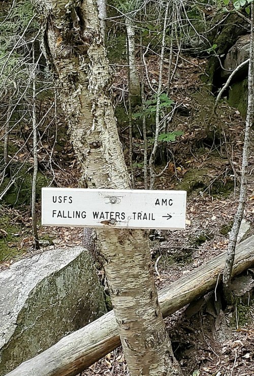 Signpost for Falling Waters Trail, marked with USFS and AMC, set against a wooded background.
