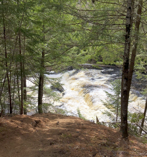 A rushing river flows through a forest, surrounded by lush green trees and rocky banks.