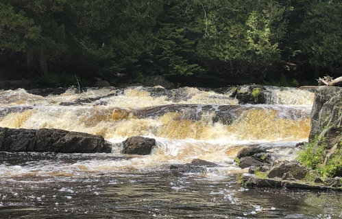 A flowing river with rocky banks and cascading water, surrounded by lush green trees.