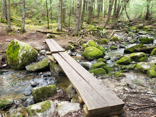 A wooden bridge spans a small stream, surrounded by moss-covered rocks and lush green trees in a forest setting.