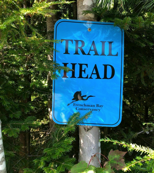 A blue sign reading "TRAIL HEAD" surrounded by trees, indicating the entrance to a hiking trail.