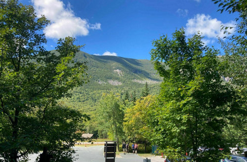A scenic view of green mountains under a blue sky with fluffy clouds, framed by trees in the foreground.
