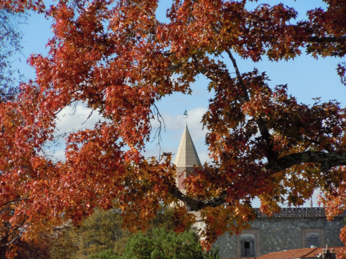 A vibrant tree with red leaves frames a church spire against a clear blue sky.