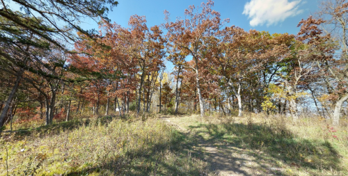 A scenic view of a wooded area with autumn foliage and a clear blue sky.