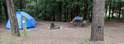 A blue tent set up in a wooded campsite with a picnic table and fire pit nearby.