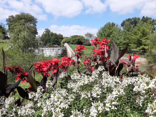 A vibrant garden with red flowers in the foreground and a waterfall in the background under a blue sky.