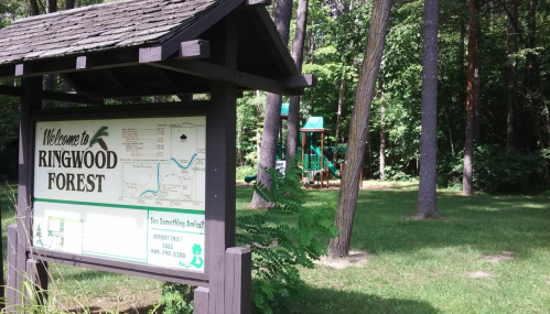 Sign welcoming visitors to Ringwood Forest, with a playground visible in the background among trees.