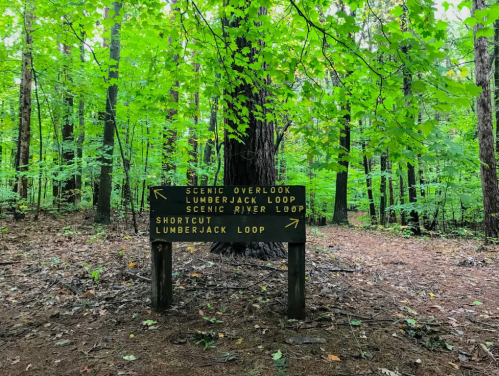 Wooden signpost in a lush green forest, indicating trails for Scenic Overlook, Lumberjack Loop, and Scenic River Loop.