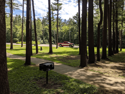A red truck parked on a road, surrounded by tall trees and a grassy area with a sidewalk and a black grill.