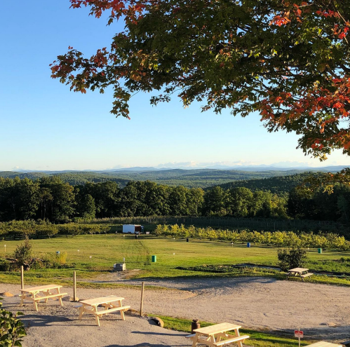 A scenic view of rolling hills and vineyards under a clear sky, with picnic tables in the foreground and autumn foliage.