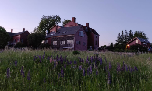 A red house surrounded by tall grass and purple flowers at dusk, with trees and other buildings in the background.