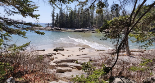 A serene beach scene framed by trees, featuring calm waters and rocky shorelines under a clear blue sky.