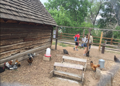 Two children walk near a rustic barn with chickens roaming in a fenced area surrounded by trees.